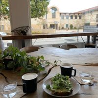 Chai lattes with oat milk, avocado toast! Delicious  at Captain + Stoker in Monterey