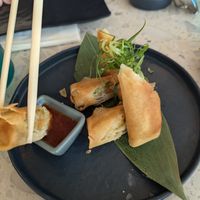 Spring rolls at Tsugoi in Panama City