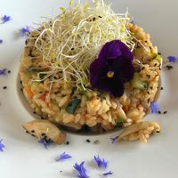 Risotto de setas. at Joapira in El Hierro