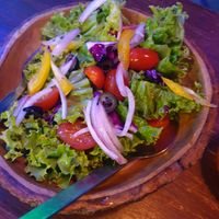 Green salad with a nice vinegar dressing at CRAFT Bistro in Surat Thani