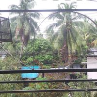  at Street Vegan House in Koh Phangan