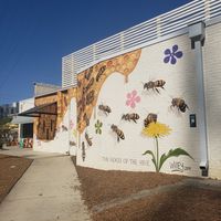  at Flower Child in Charlotte