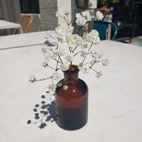  at Flower Child in Charlotte