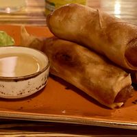 Vegetable spring rolls   at LANA in Limerick