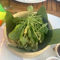   at La Sala in Marbella