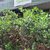  at Bardana Cozinha Natural in Rio De Janeiro