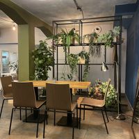   at Bo No Bo Vegan in Olsztyn