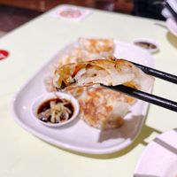 Fried guo tie at Yu Long Vegetarian - 玉龙素食 in Central Singapore
