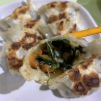 Spinach Dumplings  at Yu Long Vegetarian - 玉龙素食 in Central Singapore