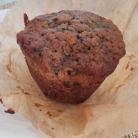 Lemon plum and chocolate muffin. at Kawa in Poznan