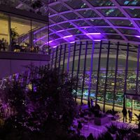  at Darwin Brasserie - Sky Garden in London