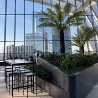 The view from outside the restaurant in the sky garden  at Darwin Brasserie - Sky Garden in London