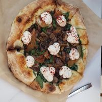 Mushroom and spinaxh pizza with almond lemon ricotta at True Food Kitchen in Arlington