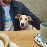 Doggy friendly 🐕 at Simple Goodness in Penrith