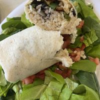Vegan breakfast burrito   at Citrus in Virginia Beach