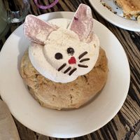 Bunny cookie  at The Baklava Lady in English Town