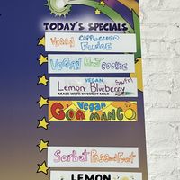 Good selection of vegan choices    at Emack & Bolio's in Brooklyn