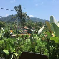 View from the restaurent  at Tirta Unda in Sidemen