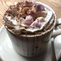 Vegan Hot Chocolate with marshmallows  at Greens & Co in Galway