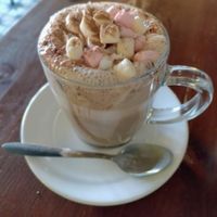 Hot chocolate with cream and marshmallows at Greens & Co in Galway