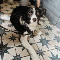   at Greens & Co in Galway