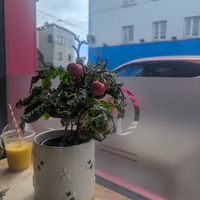  at Greens & Co in Galway