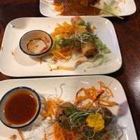 Monkey balls, springrolls, tofu satay sticks - vegan at Boi Boi - Southwest in Amsterdam
