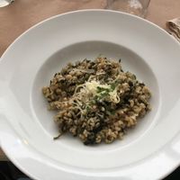 risotto at DASO - Carlos III in Barcelona