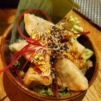 Gyosas at Vegan House - Alaunstraße in Dresden