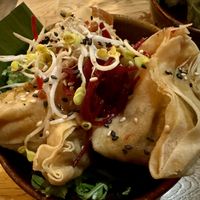 wan tan #Veganuary at Vegan House - Alaunstraße in Dresden