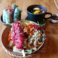  at Vegan House - Alaunstraße in Dresden