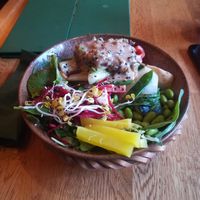  at Vegan House - Alaunstraße in Dresden