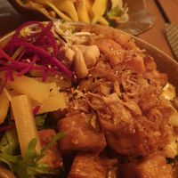  at Vegan House - Alaunstraße in Dresden