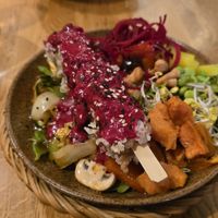  at Vegan House - Alaunstraße in Dresden