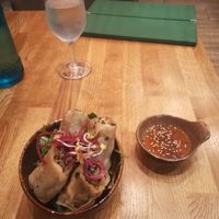  at Vegan House - Alaunstraße in Dresden