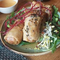  at Vegan House - Alaunstraße in Dresden