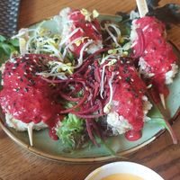  at Vegan House - Alaunstraße in Dresden