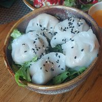  at Vegan House - Alaunstraße in Dresden