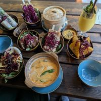  at Vegan House - Alaunstraße in Dresden