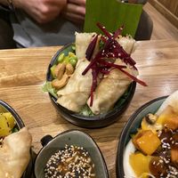 Spring rolls  at Vegan House - Alaunstraße in Dresden