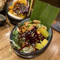 Gyoza at Vegan House - Alaunstraße in Dresden