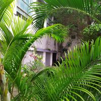  at Vegostices in Recife