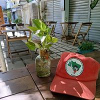  at Vegostices in Recife