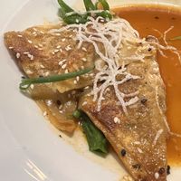 Gyoza  at Melange Eatery in Medford