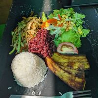 Vegan casado at Boca2 in Monteverde