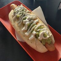 Salvedog at Animalia Vegan e Bar in Sao Paulo