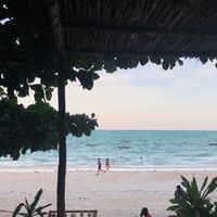 The restaurant overlooks the Indian Ocean at Mr Kahawa in Zanzibar