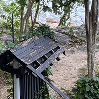 I didn’t expect to see a squirrel on a Thai island!  at Noina's Mystic Mountain Restaurant & Bungalows in Koh Samet