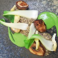 Main - Lentil  at Henry's in Bath