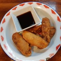 Starters/ Tempeh Koenjit at Asian Army in Madrid